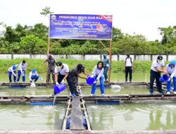 Kunjungan Kerja Ke Timika, Danlantamal XI Tabur Benih Ikan Nila Dan Bibit Selada