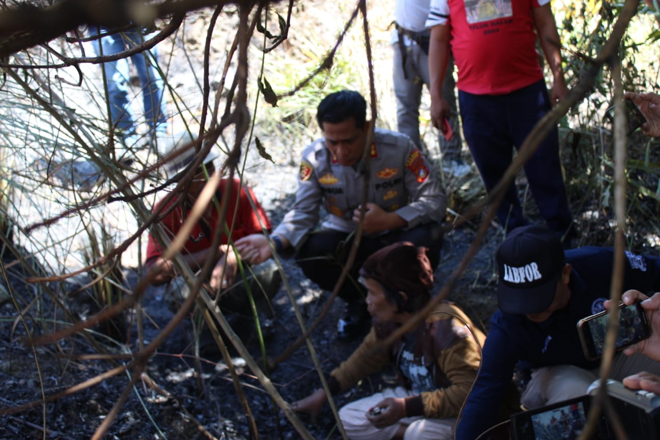 Dua Pelaku Pembakar Hutan di Samosir Berhasil Diamankan Polda Sumut 