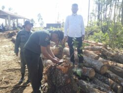Tim Polres Taput Turun Ke Lokasi Hutan Reboisasi Dolok Imun Kecamatan Siborong-borong