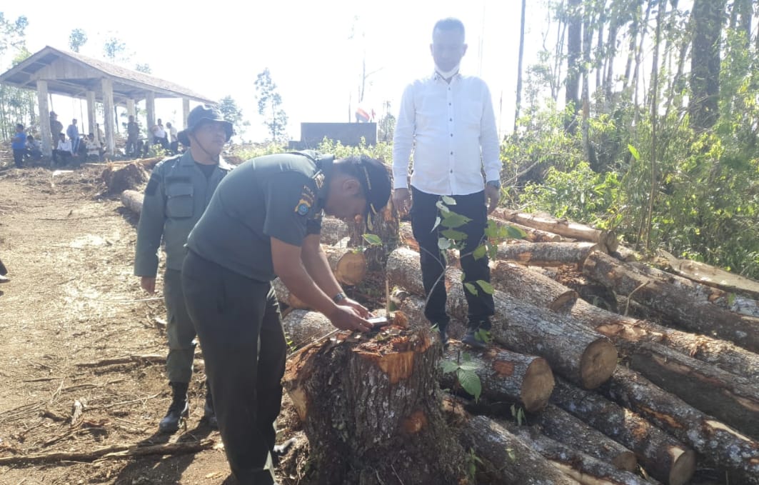 Tim Polres Taput Turun Ke Lokasi Hutan Reboisasi Dolok Imun Kecamatan Siborong-borong