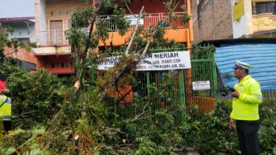 Sebuah Pohon Tua Tumbang di Jalan Kapten Purba Medan