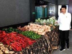 Presiden Apresiasi Model Bisnis Pertanian di Ponpes Al-Ittifaq