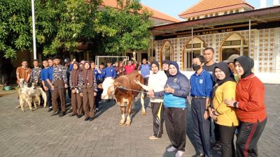 Bagikan Daging Qurban, Yayasan Hang Tuah Sembelih 19 Ekor Sapi dan 43 Ekor Kambing